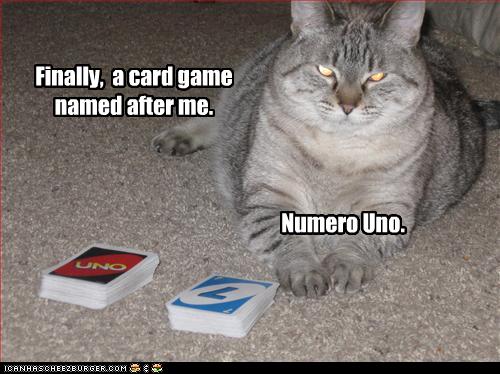 funny-pictures-cat-is-number-one.jpg