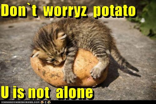 [Image: funny-pictures-dont-worryz-potato-u-is-not-alone.jpg]