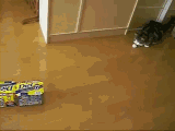 1342004299827
