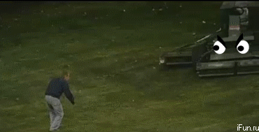 19.gif