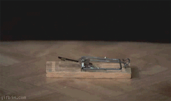 http://img.pr0gramm.com/2014/06/08/a46dfa37271e95ea.gif