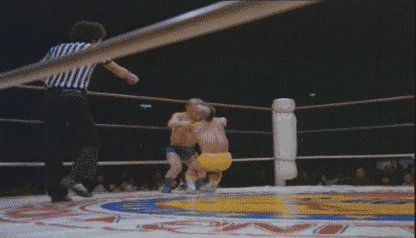 cc72fa72ddf0953d.gif
