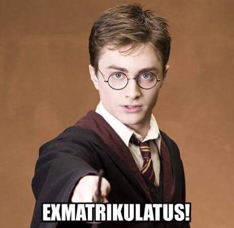 Harry Potter casting the Exmatrikulatus spell