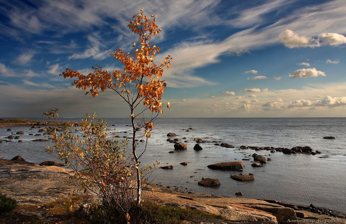 Осенний берег. Балтийское море Карелия. Осеннее море. Море осенью. Пляж осенью.