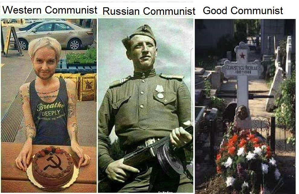 Better russian. Западные славяне мемы. Nordic Communist Мем. Западные славяне Мем. East Slavs memes.