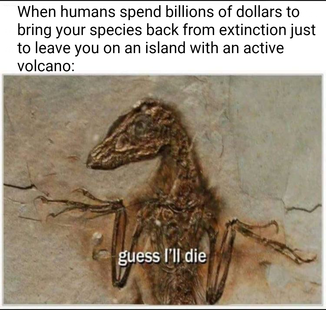 Duzy Kutas