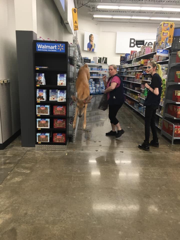 Crackhead At Walmart