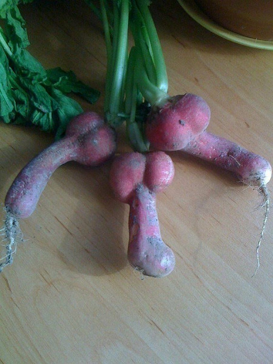 Писюны смешные