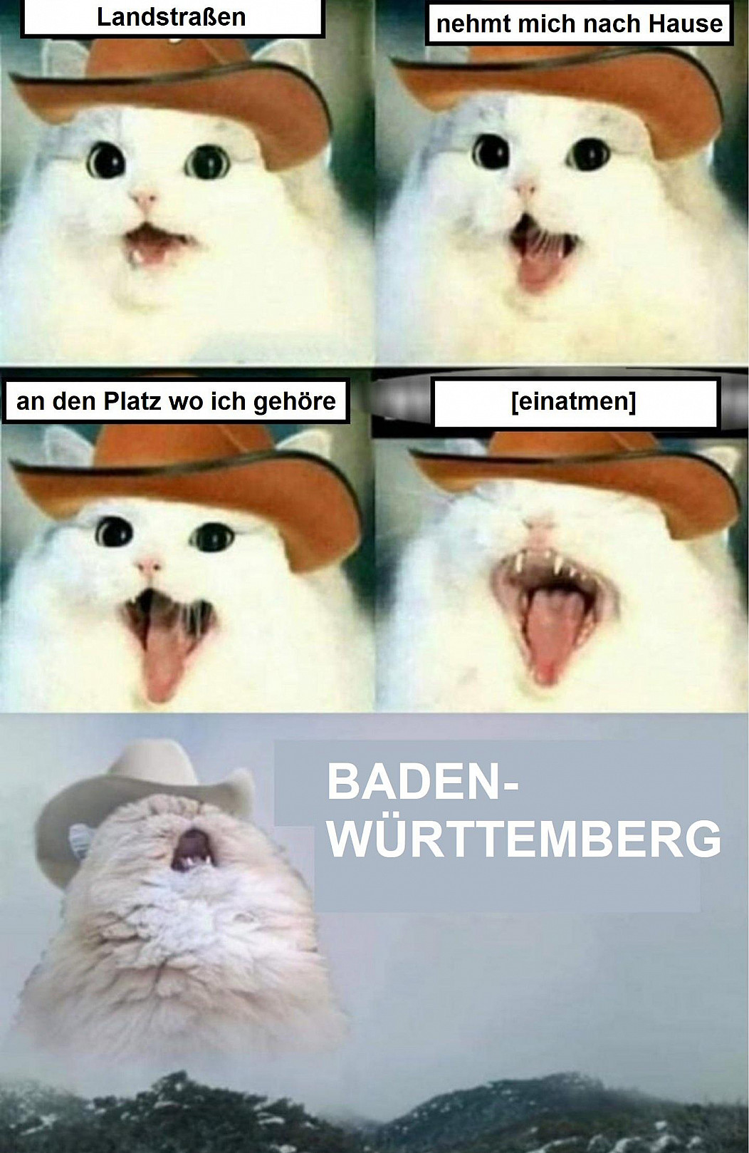 3e4693e53db7e65c.jpg