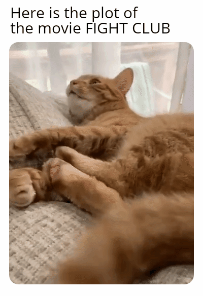 aa5b3b305083053a.gif
