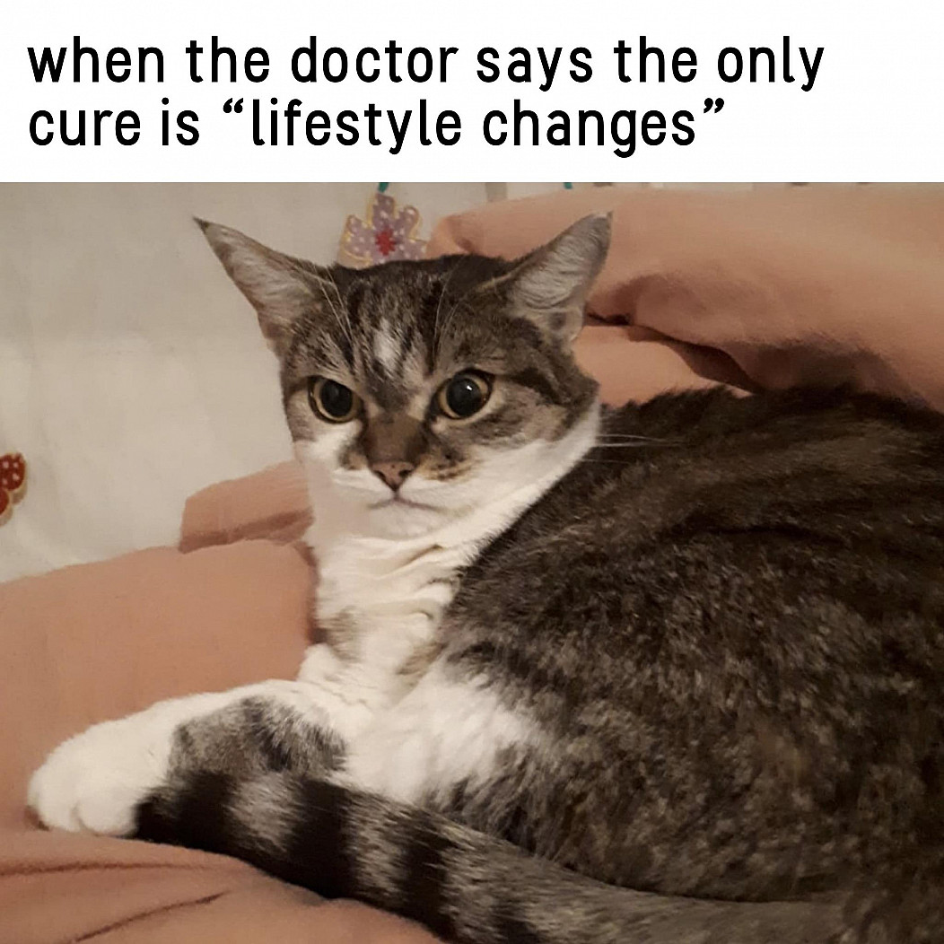 c090e3e52ee2dc48.jpg