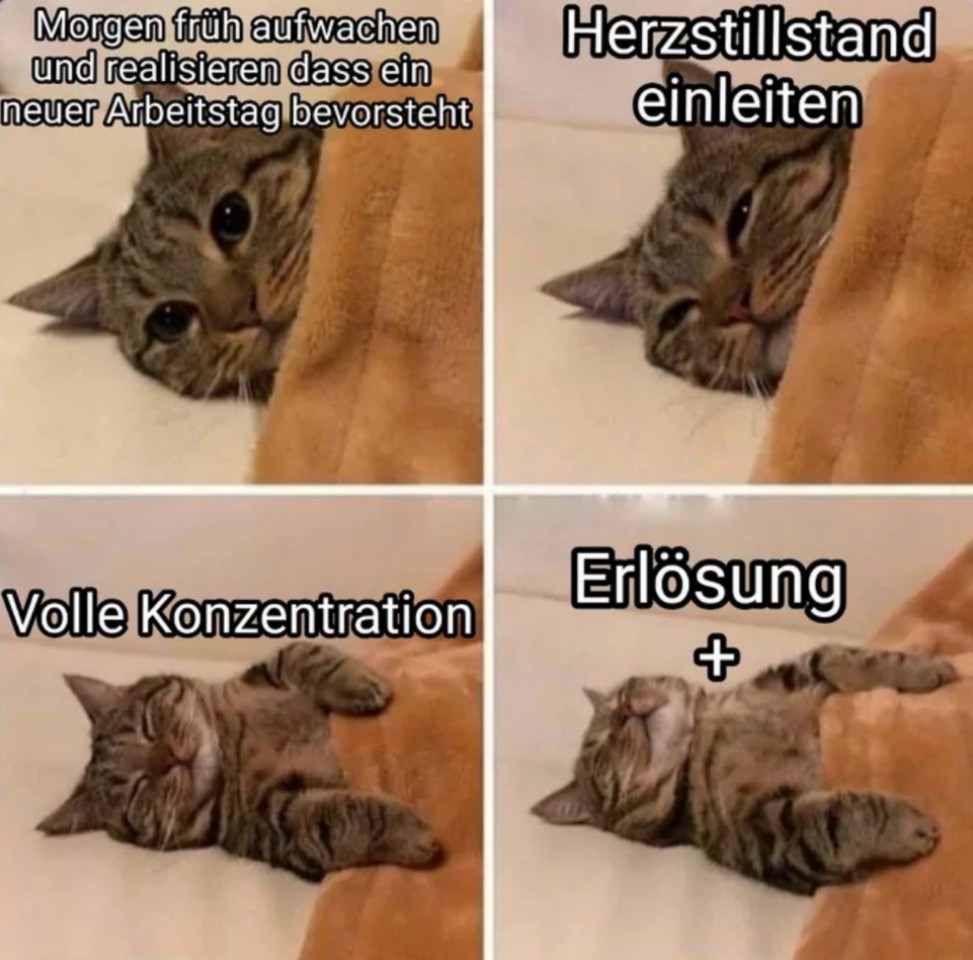 3ea0fc60df6da910.jpg