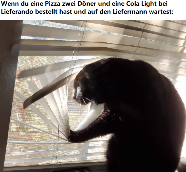 5af466d751fe2a94.png