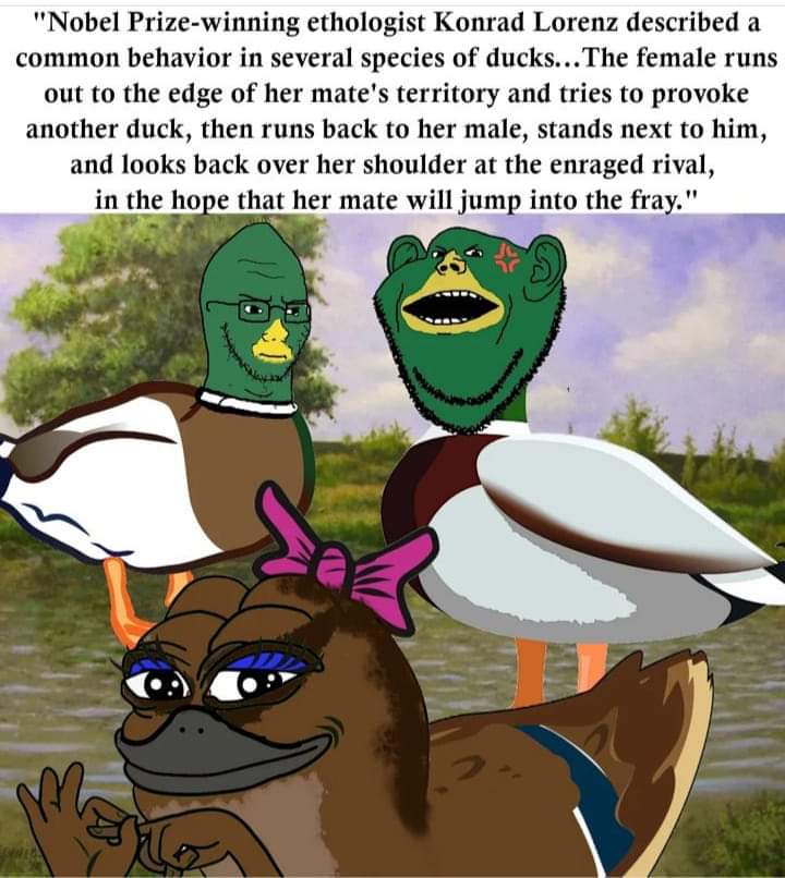 7e46f029ce3b16f0.jpg
