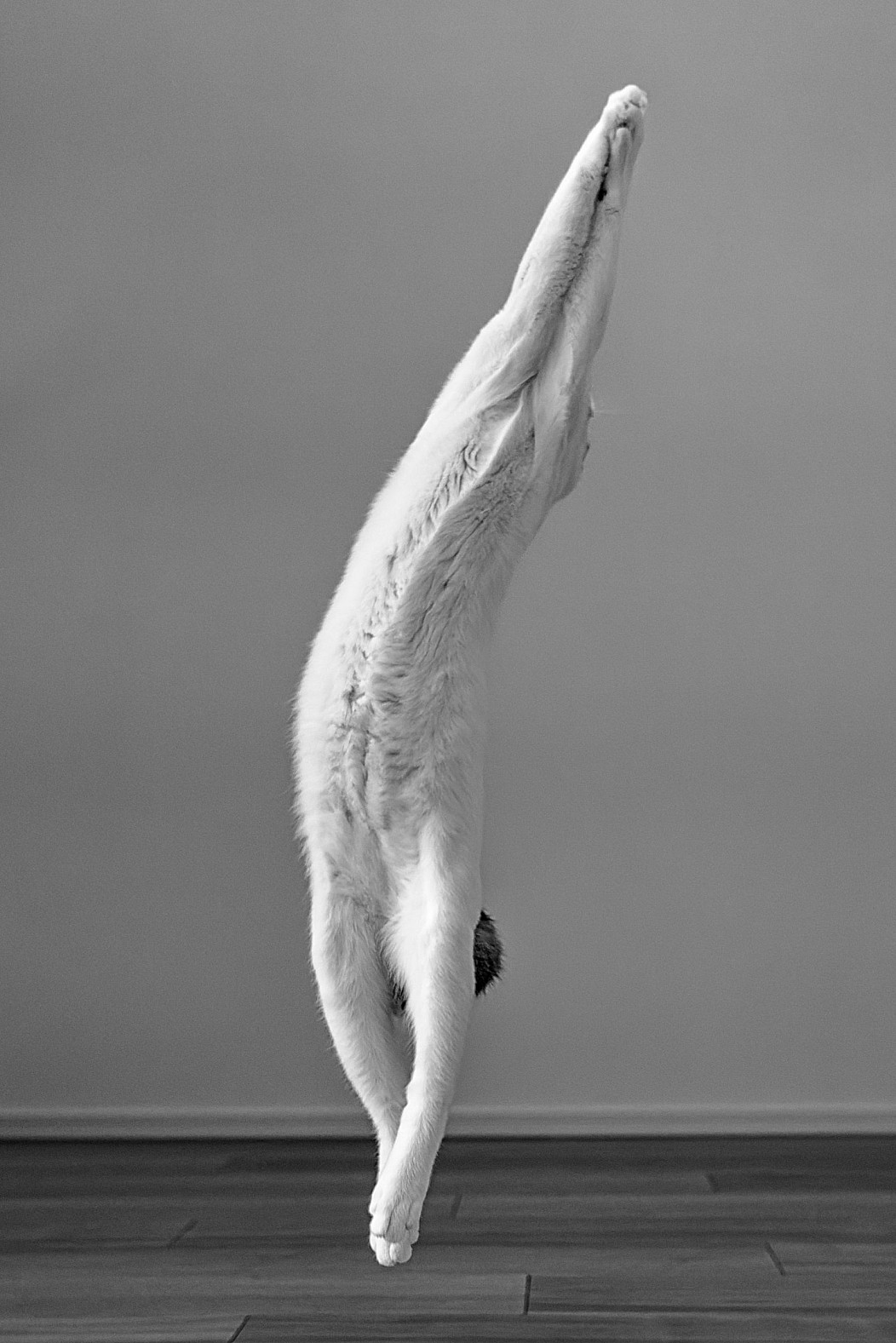 8656f9bdde05f534.jpg
