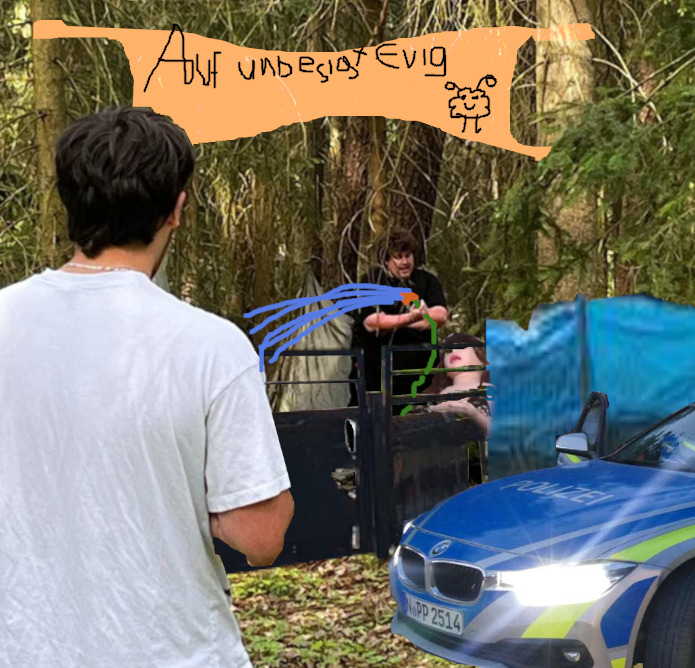 2e2aee88542c0293.png