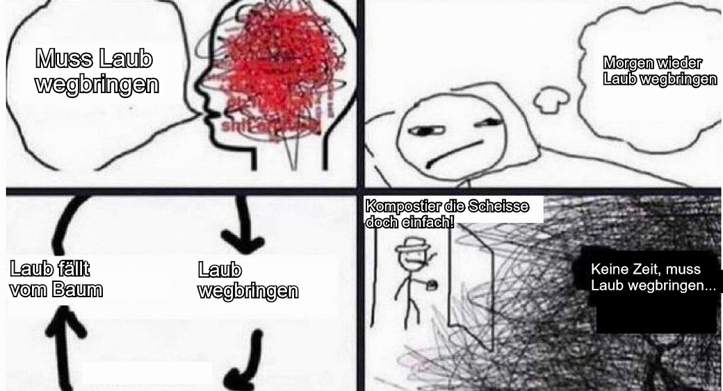 e6f4427e14763afd.png
