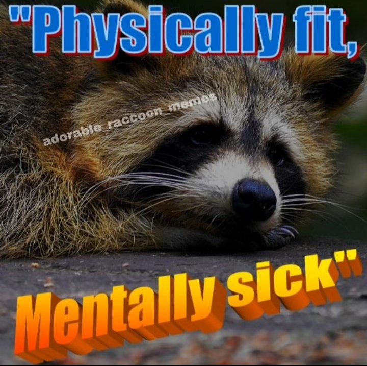 7d3853f150cc49ad.png